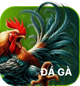 đá gà 8qbet